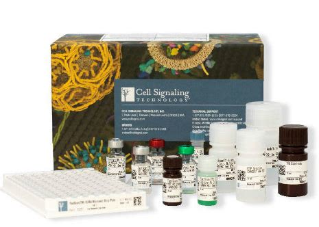 fastscan elisa kit